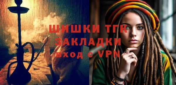 сатива Новодвинск